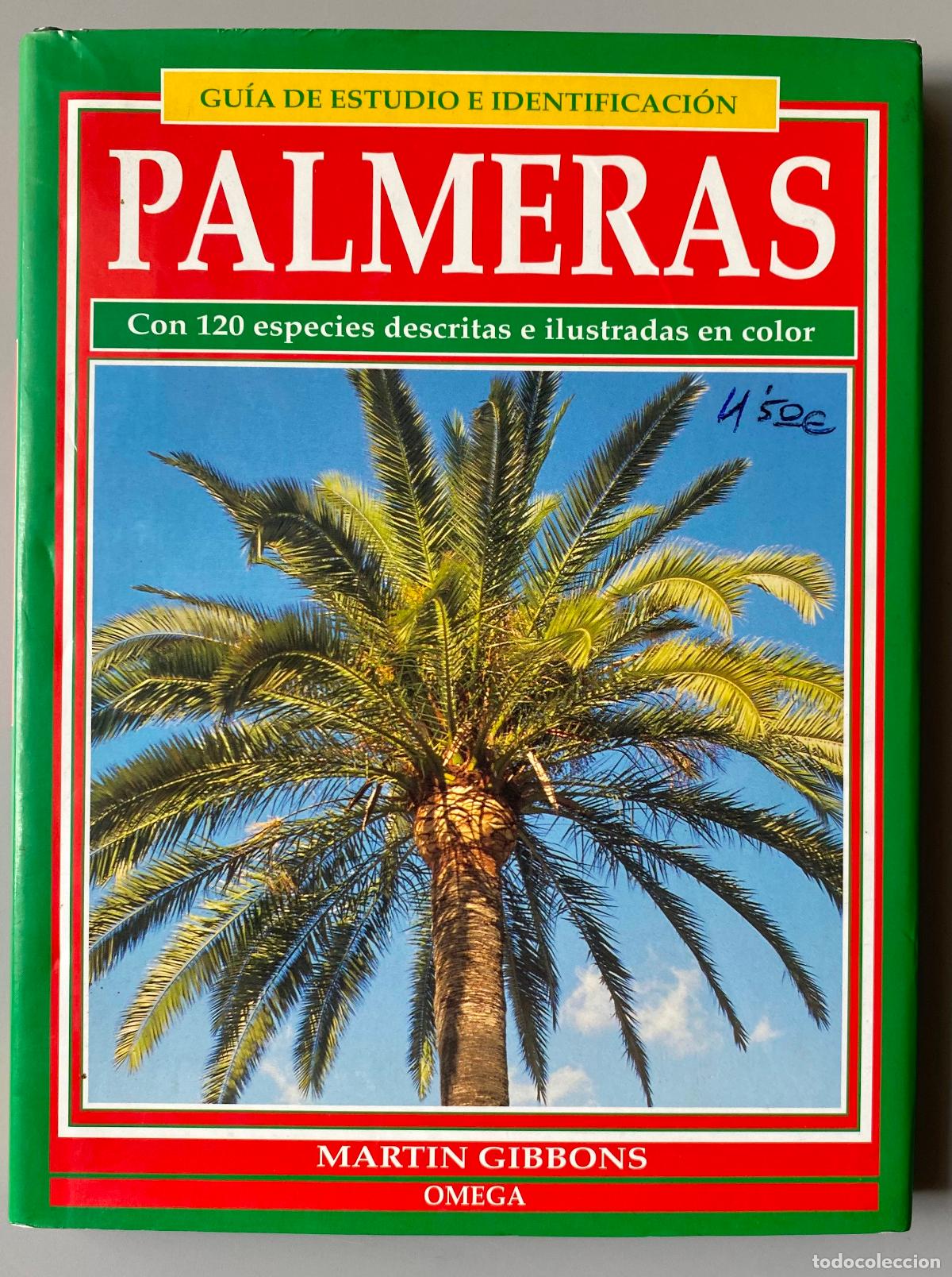 Libros de segunda mano: PALMERAS. GUIA DE ESTUDIO E IDENTIFICACION. MART&Iacute;N GIBBONS. Tapa dura 120 especies