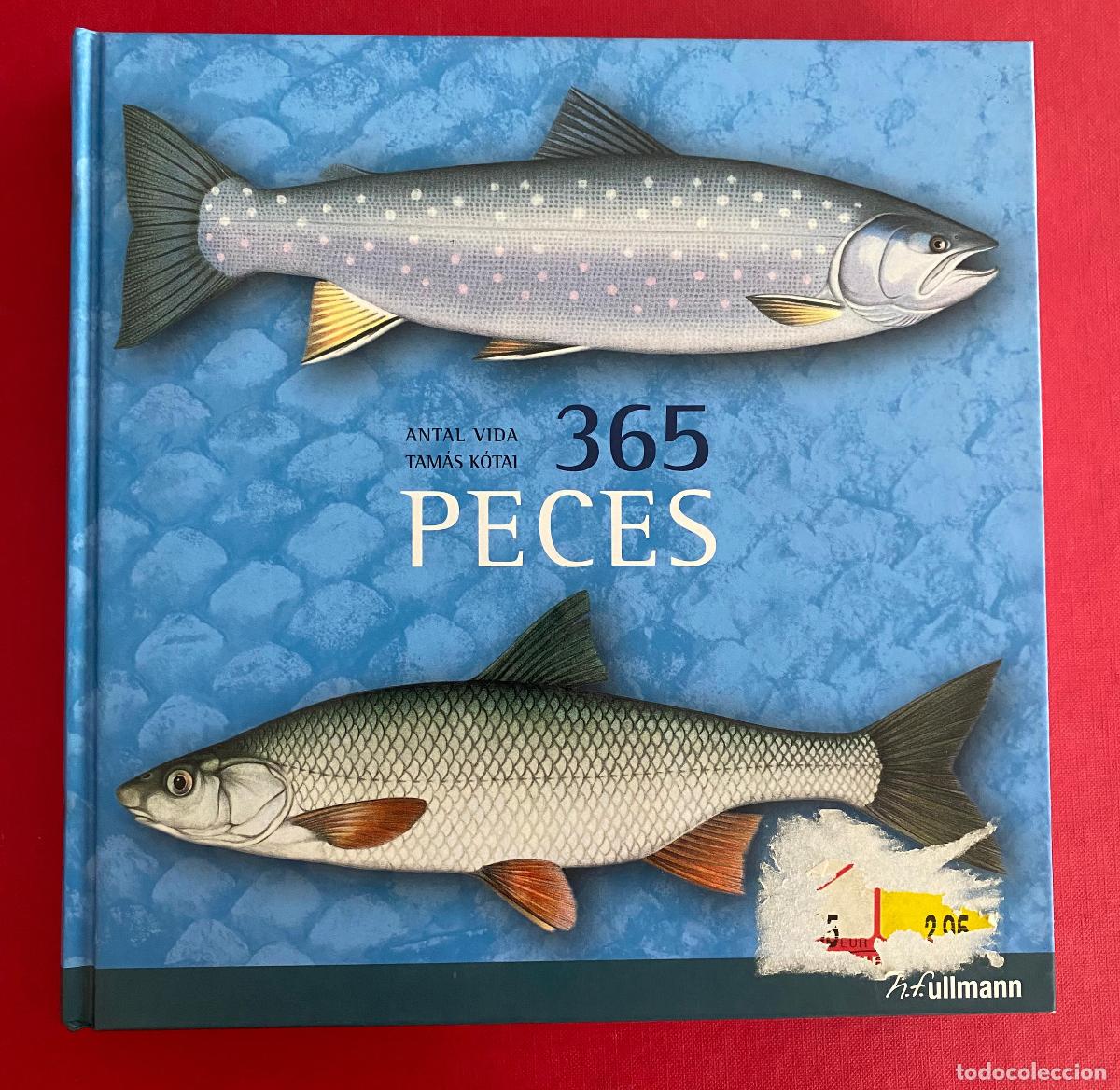 Libros de segunda mano: 365 Peces. - Vida Antal. Ilustraciones de Tamas Kotai. Tapa dura