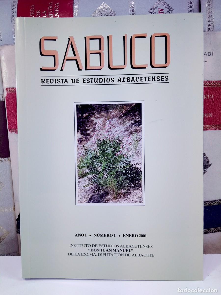 Libri di seconda mano: SABUCO- Revista de Estudios Albacetenses. N&ordm; 1 enero 2001. VV.AA. Instituto de Estudios Albacetenses