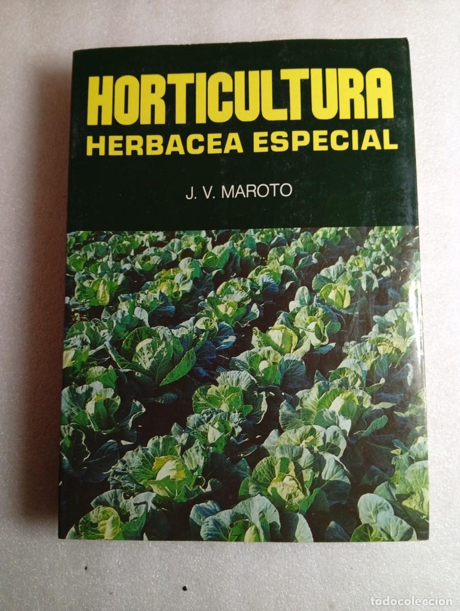 Libros de segunda mano: HORTICULTURA HERB&Aacute;CEA ESPECIAL-J.V.MAROTO