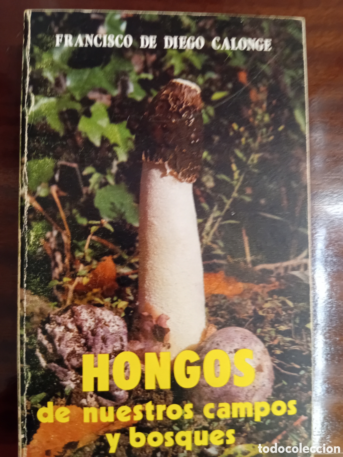 Libros de segunda mano: HONGOS DE NUESTROS CAMPOS Y BOSQUES. FR CALONGE - Foto 1