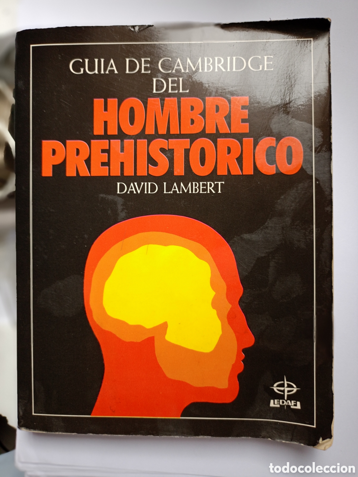 Gebrauchte B&uuml;cher: LAMBERT : GU&Iacute;A DE CAMBRIDGE DEL HOMBRE PREHIST&Oacute;RICO (EDAF, 1998) MUY ILUSTRADO