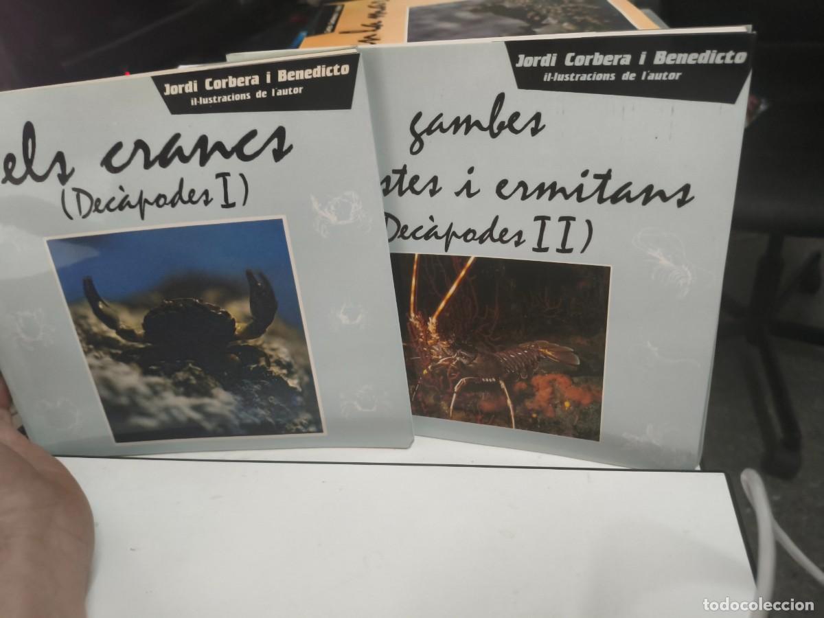 Libros de segunda mano: Els crancs (dec&agrave;podes I i II) Jordi Corbera 1987 1a ed Ajuntament de Badalona Col&middot;lecci&oacute; Norai, 4 5