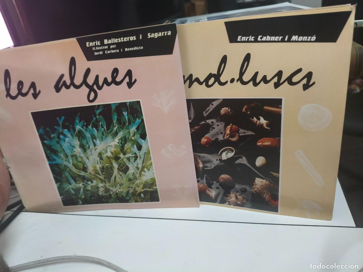 Libros de segunda mano: Les algues i els mol&middot;luscs Enric Ballesteros Ajuntament de Badalona, Col&middot;lecci&oacute; Norai 1 i 2