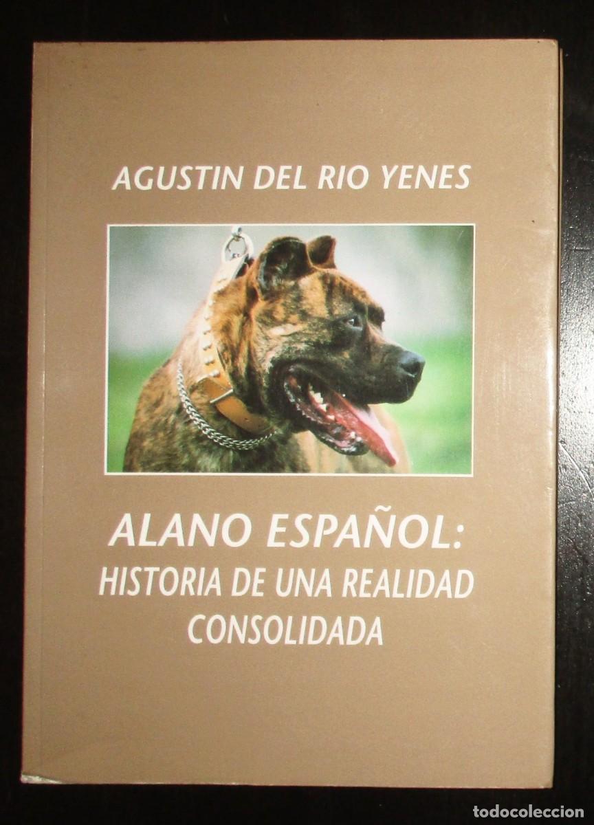 Libros de segunda mano: ALANO ESPA&Ntilde;OL: HISTORIA DE UNA REALIDAD CONSOLIDADA. AGUST&Iacute;N DEL R&Iacute;O YENES. PRIMERA EDICI&Oacute;N, 1995.