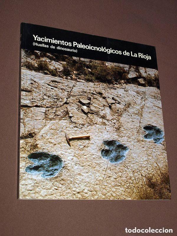 Libros de segunda mano: YACIMIENTOS PALEOICNOL&Oacute;GICOS DE LA RIOJA (HUELLAS DE DINOSAURIO) GOBIERNO LA RIOJA, 1988 ++++