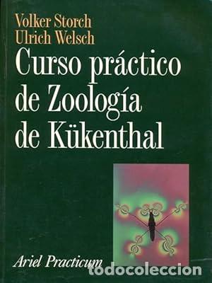 Libros de segunda mano: CURSO PR&Aacute;CTICO DE ZOOLOG&Iacute;A DE K&Uuml;KENTHAL. STORCH, Volker- WELSCH, Ulrich. Ed. Ariel. Barcelona, 2001,