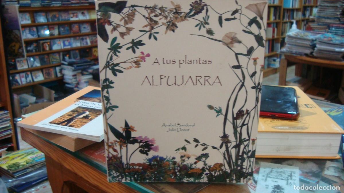 Libros de segunda mano: el arrebato cd abrazos