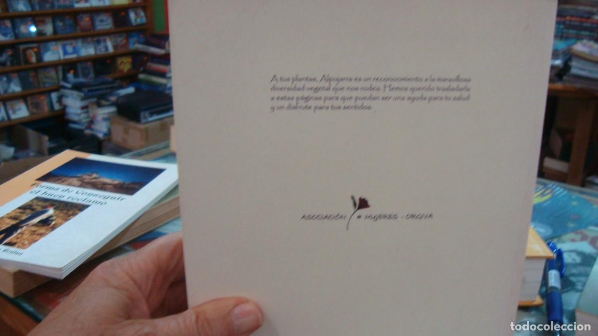 Libros de segunda mano: el arrebato cd abrazos - Foto 2