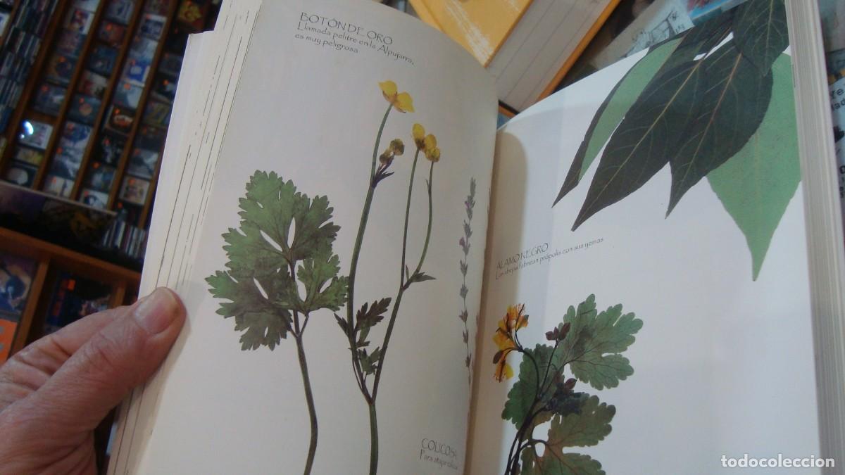 Libros de segunda mano: el arrebato cd abrazos - Foto 4