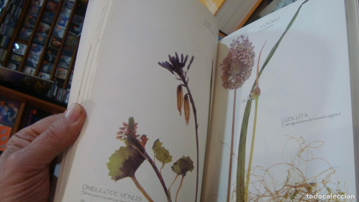 Libros de segunda mano: el arrebato cd abrazos - Foto 5