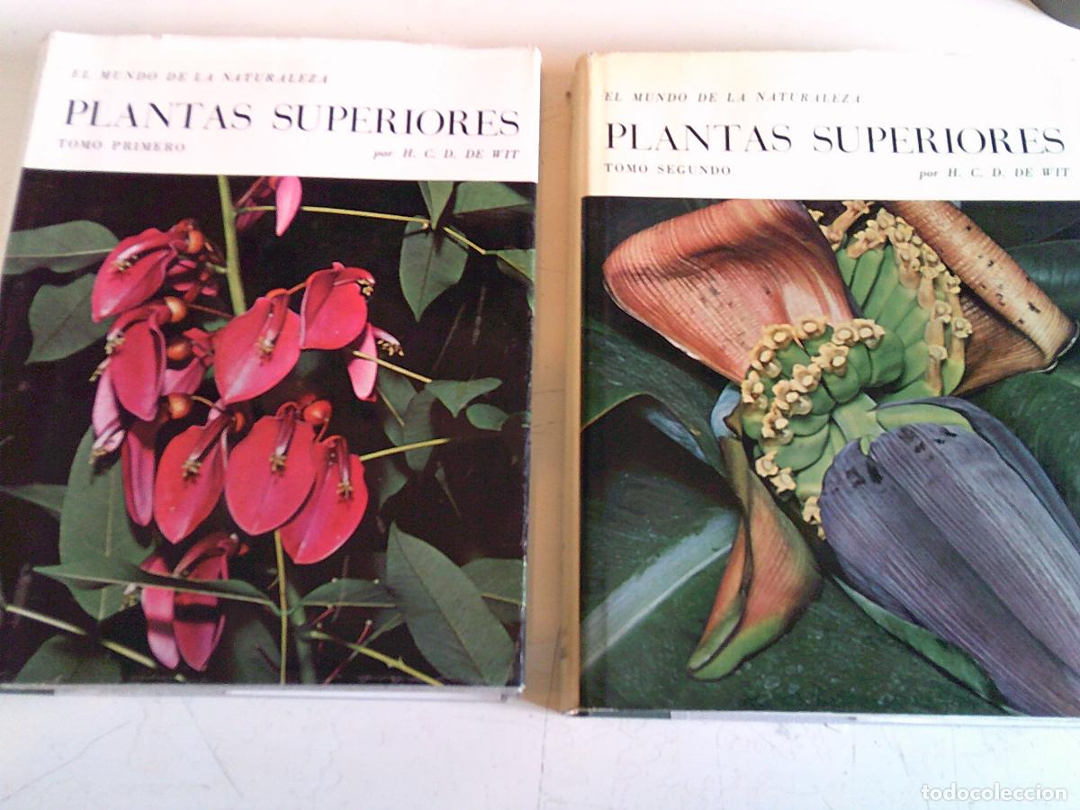 Libros de segunda mano: El mundo de la naturaleza Plantas superiores 2 tomos Seix Barral S.A.