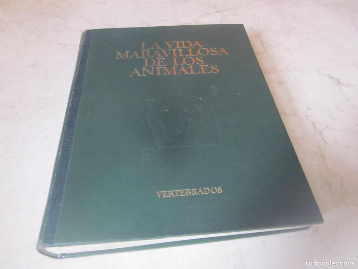 Libros de segunda mano: LA MARAVILLOSA VIDA DE LOS ANIMALES TOMO I VERTEBRADOS - INSTITUTO GALLACH 1969