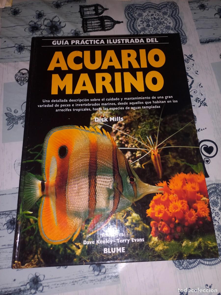 Libros de segunda mano: GU&Iacute;A PR&Aacute;CTICA ILUSTRADA ACUARIO MARINO - MILLS, DICK - Blume - 1993