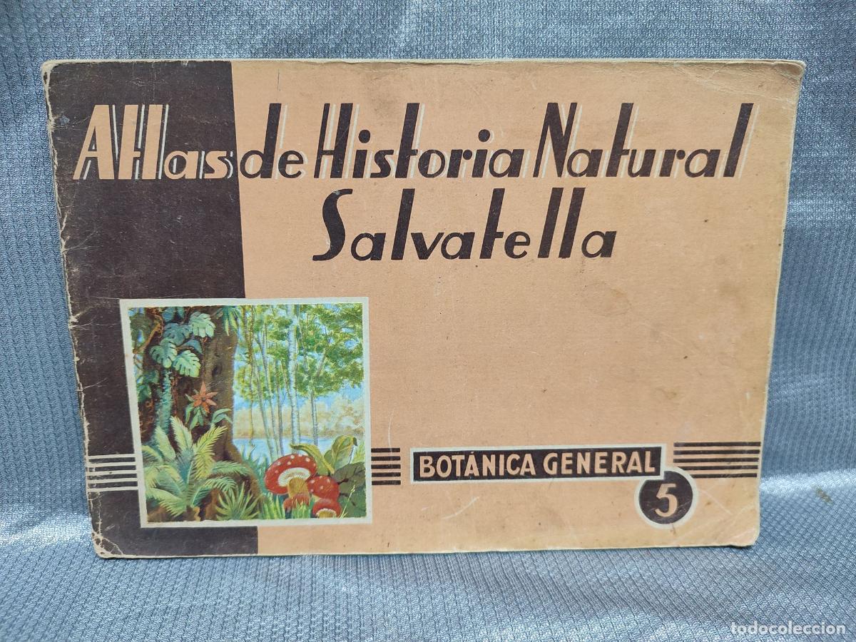 Libros de segunda mano: BOTANICA GENERAL. ATLAS DE HISTORIA NATURAL SALVATELLA NUM. 5. 1951
