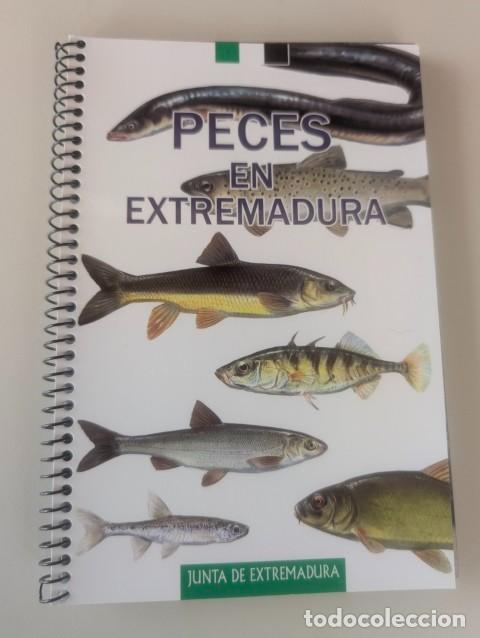 Libros de segunda mano: PECES EN EXTREMADURA - RARISIMO - ENCUADERNADO CON ESPIRAL - EXCELENTE ESTADO