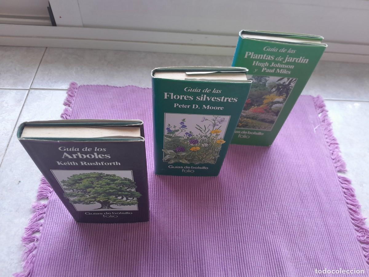 Libros de segunda mano: GUIA DE LOS ARBOLES, GUIA DE LAS FLORES SILVESTRES Y GUIA DE LAS PLANTAS DE JARDIN. EDICIONES FOLIO