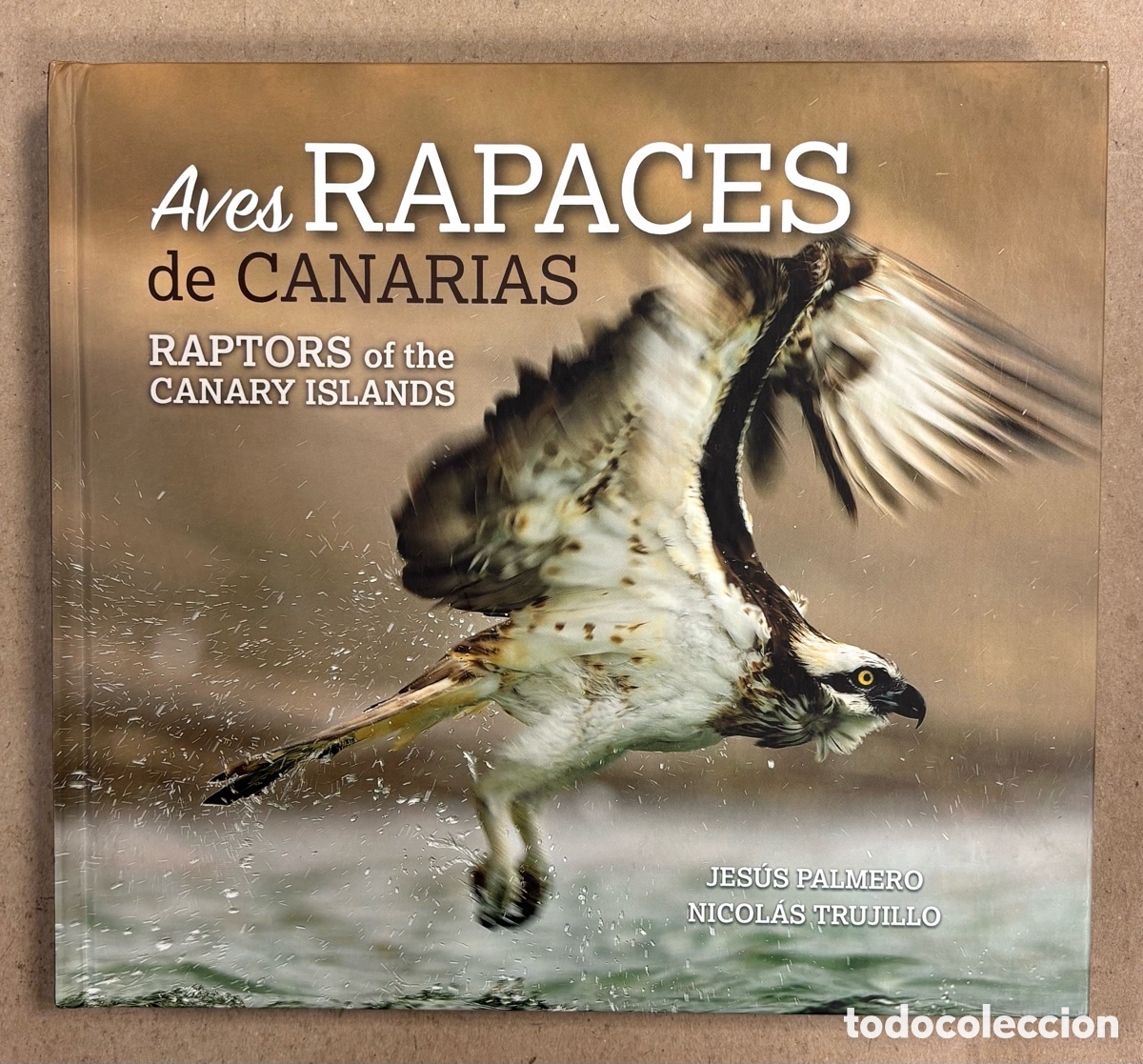 Libros de segunda mano: AVES RAPACES DE CANARIAS. POR JES&Uacute;S PALMERO Y NICOL&Aacute;S TRUJILLO. ED. TURQUESA 2017.