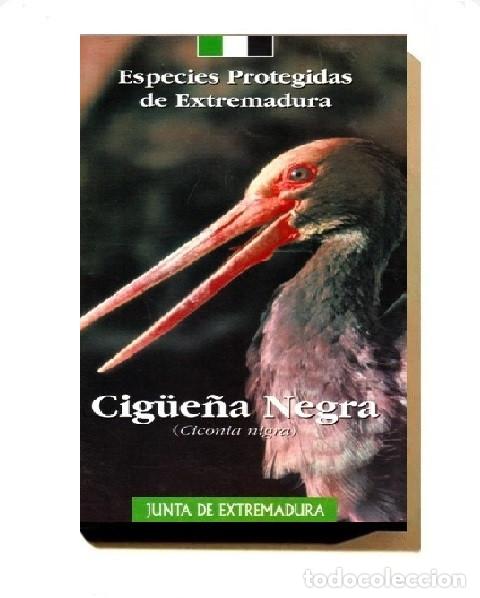 Libros de segunda mano: ESPECIES PROTEGIDAS DE EXTREMADURA. CIG&Uuml;E&Ntilde;A NEGRA. CICONIA NIGRA. AVES. FAUNA.