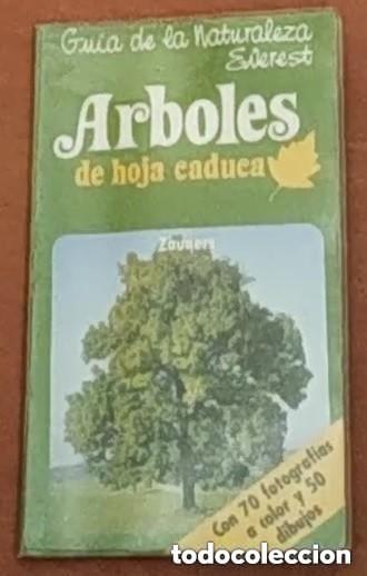 Libros de segunda mano: ARBOLES - EDITORIAL EVEREST - Foto 1