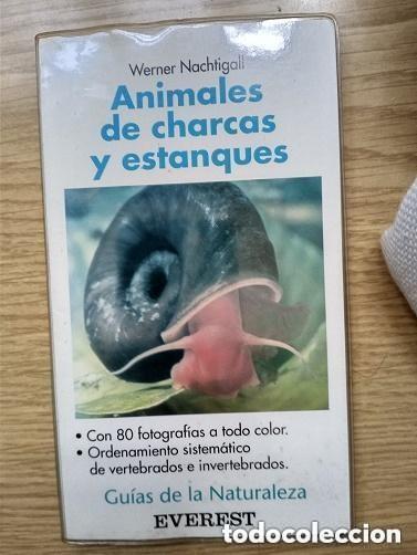 Libros de segunda mano: GUIA DE LA NATURALEZA EVEREST - ANIMALES DE CHARCAS Y ESTANQUES . Mira todos mis dem&aacute;s art&iacute;culos