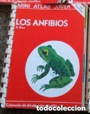 Libros de segunda mano: MINI ATLAS JOVER -- LOS ANFIBIOS -A&Ntilde;O 1982 . Mira todos mis dem&aacute;s art&iacute;culos para aprovechar