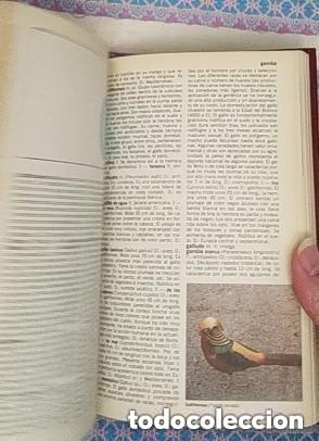 Libros de segunda mano: LEXIS22 - ZOOLOGIA -TAPA DURA - Foto 2