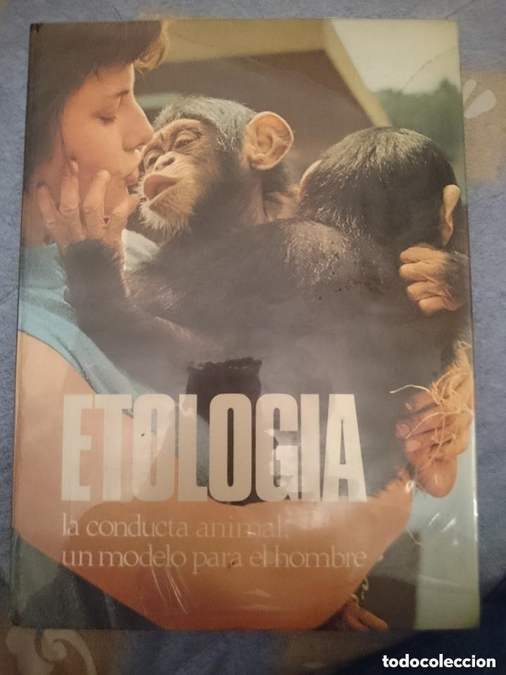 Libros de segunda mano: ETOLOGIA - LA CONDUCTA ANIMAL UN MODELO PARA EL HOMBRE -VER FOTOS