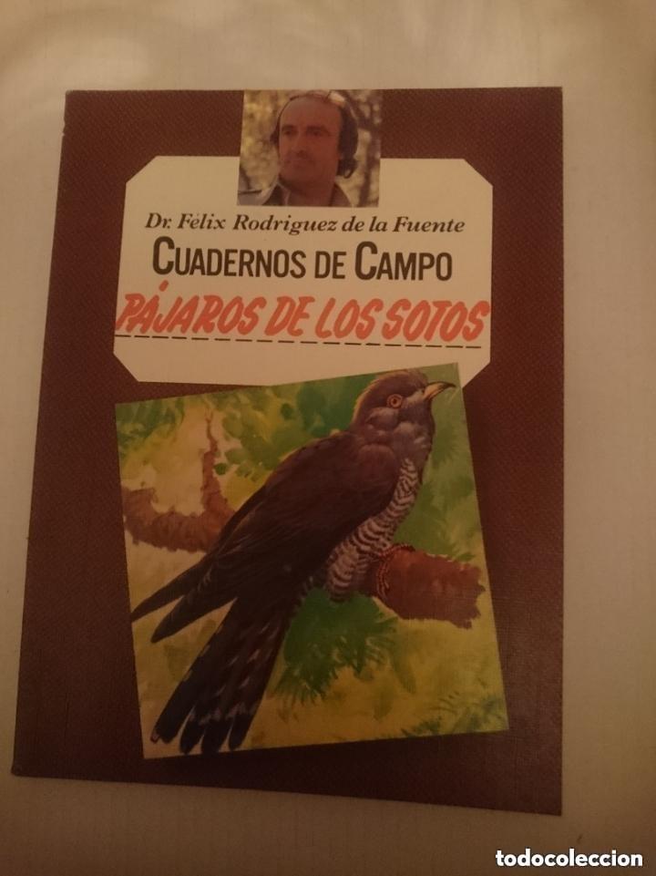Libros de segunda mano: FELIX RODRIGUEZ DE LA FUENTE -CUADERNOS DE CAMPO - PAJAROS DE LOS SOTOS