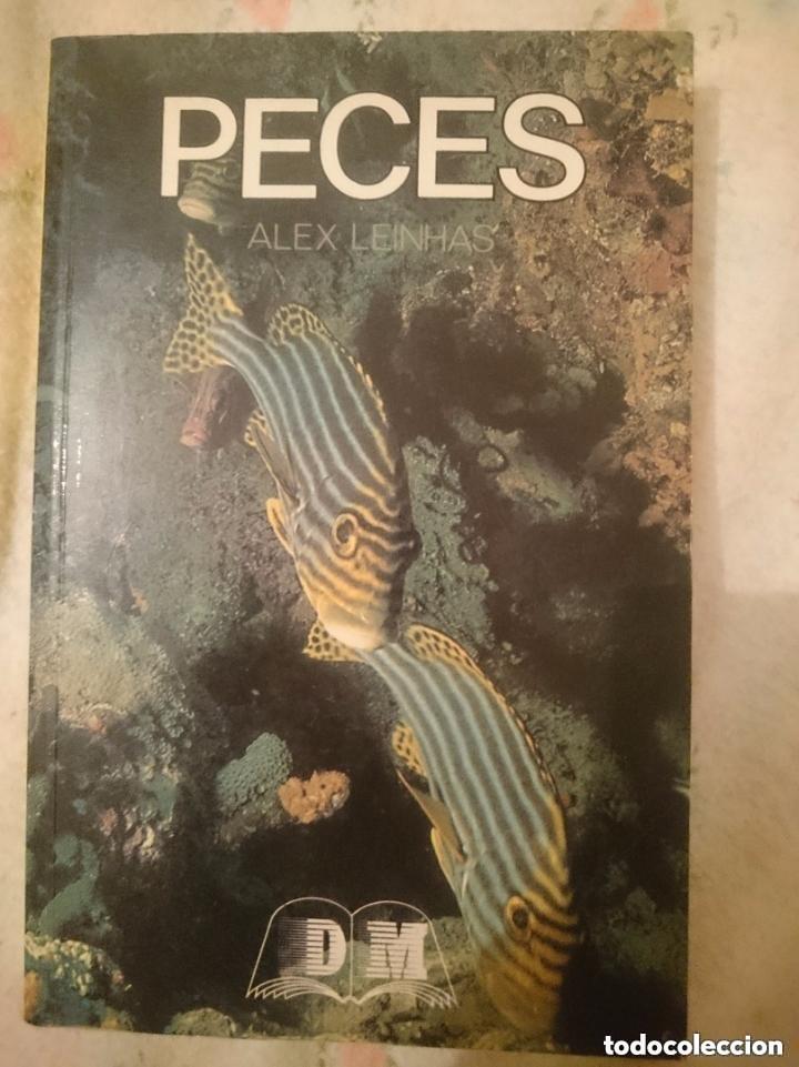 Libros de segunda mano: PECES - Alex Leinhas -A&Ntilde;OS 90 ---LEER DETALLES Y VER FOTOS