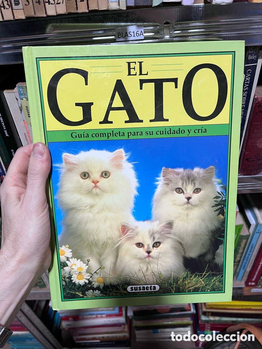 Libros de segunda mano: BLAS16A GATO Gu&iacute;a completa para su cuidado y cr&iacute;a