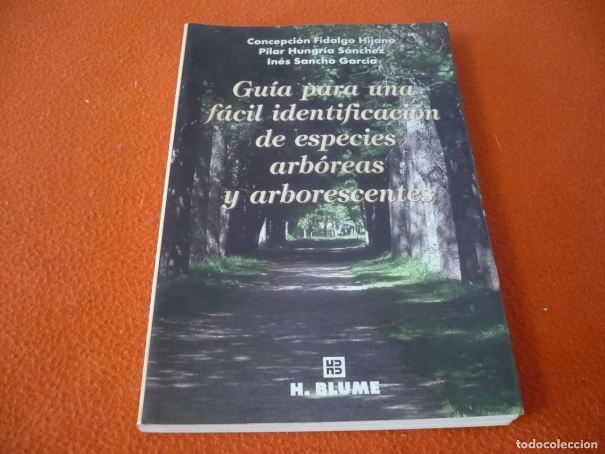 Libros de segunda mano: GUIA PARA UNA FACIL IDENTIFICACION DE ESPECIES ARBOREAS ( FIDALGO ) BLUME ARBOLES ARBUSTOS FLORA