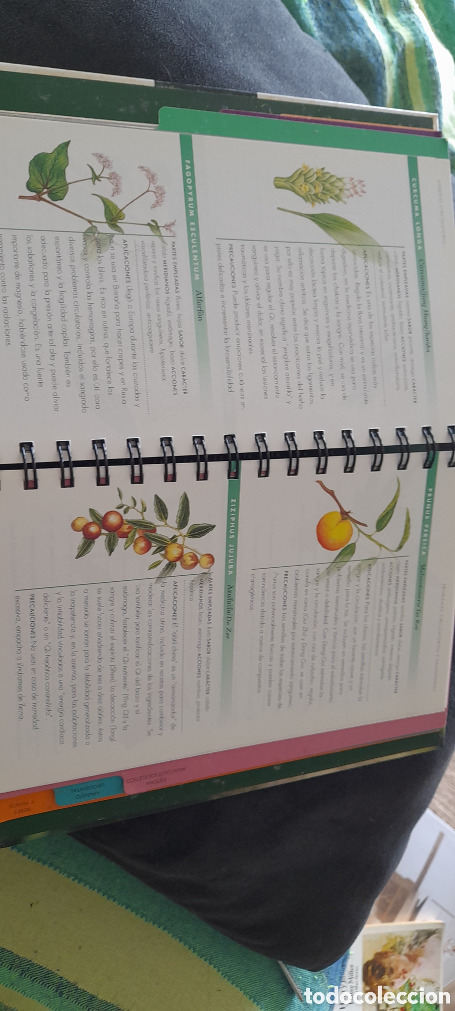 Libros de segunda mano: Las plantas y la salud. Penelope Ody - Foto 3