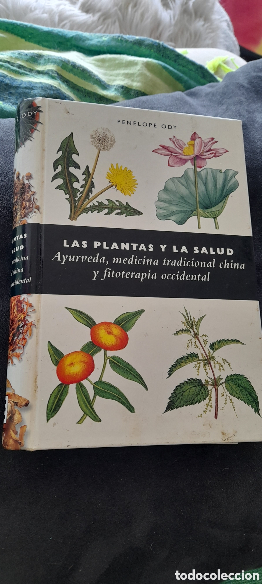 Libros de segunda mano: Las plantas y la salud. Penelope Ody