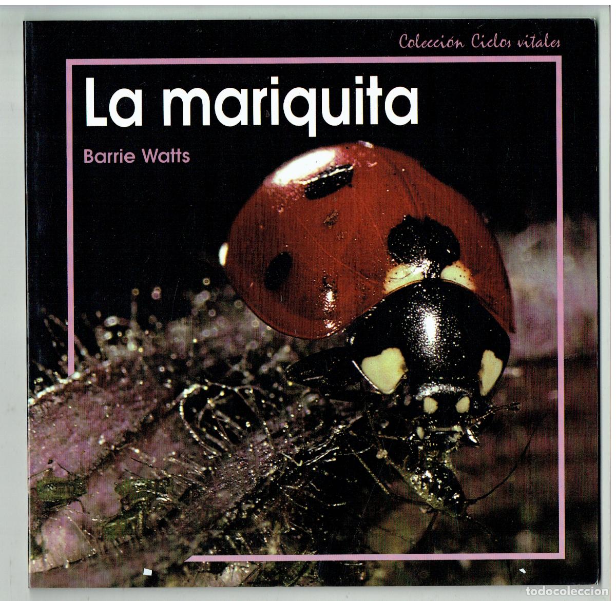 Libros de segunda mano: LA MARIQUITA. COLECCI&Oacute;N CICLOS VITALES. BARRIE WATT. EDEB&Eacute;, 1992, (&Ntilde;/6