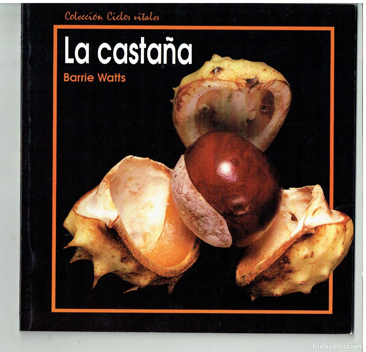 Libros de segunda mano: LA CASTA&Ntilde;A. COLECCI&Oacute;N CICLOS VITALES. BARRIE WATT. EDEB&Eacute;, 1992, (&Ntilde;/6