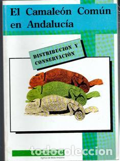 Libros de segunda mano: El camale&oacute;n com&uacute;n en Andalucia. Distribuci&oacute;n y conservaci&oacute;n. Manuel Cuadrado Guti&eacute;rrez. Manuel Rodr&iacute;