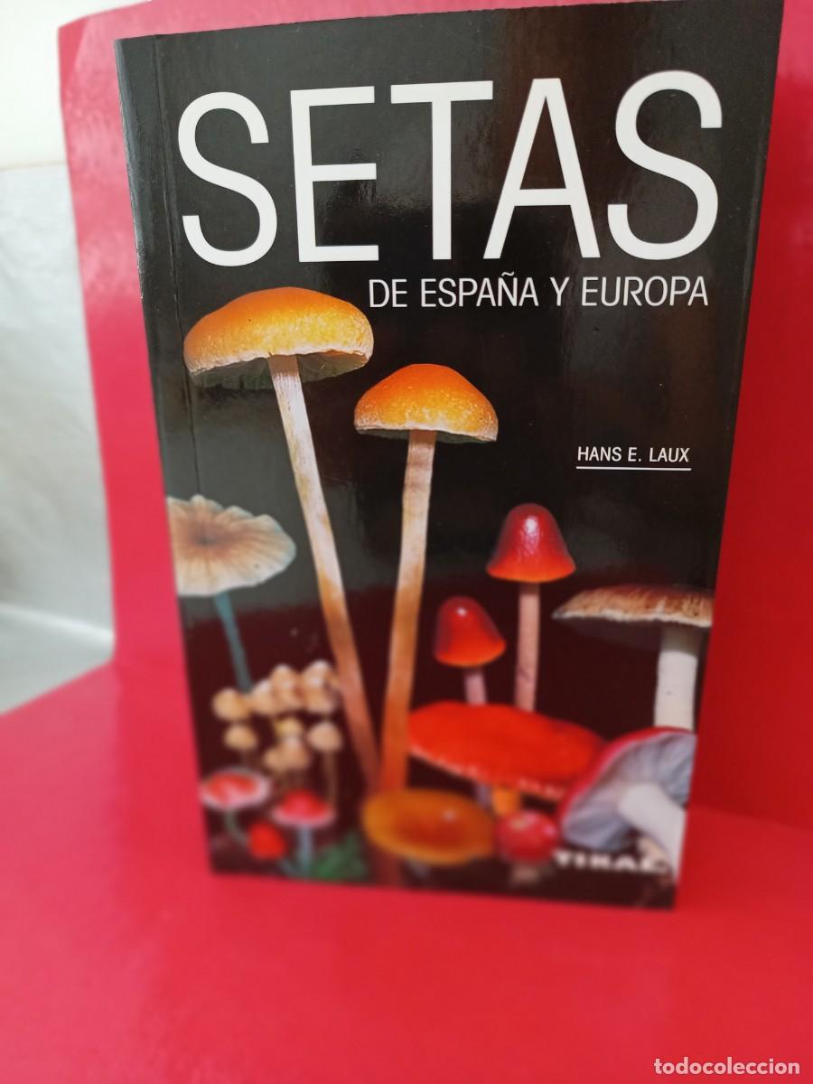 Libros de segunda mano: Setas de Espa&ntilde;a y Europa - Hans E. Laux - Tikal - Susaeta