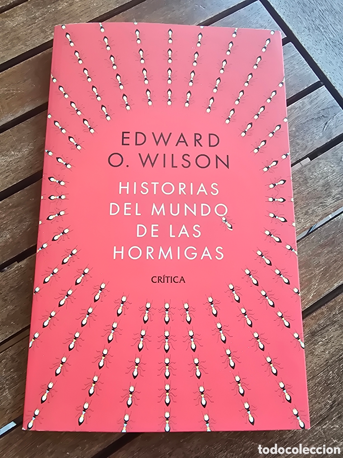 Libros de segunda mano: Historias del mundo de las hormigas Edward O Wilson CRITICA 2026 Divulgacion cientifica
