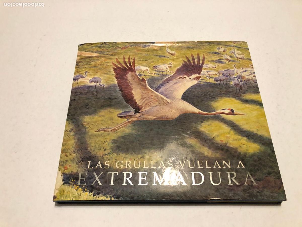 Libros de segunda mano: Las Grullas Vuelan a Extremadura (1995) - Gran Formato Tapa Dura con Sobrecubierta