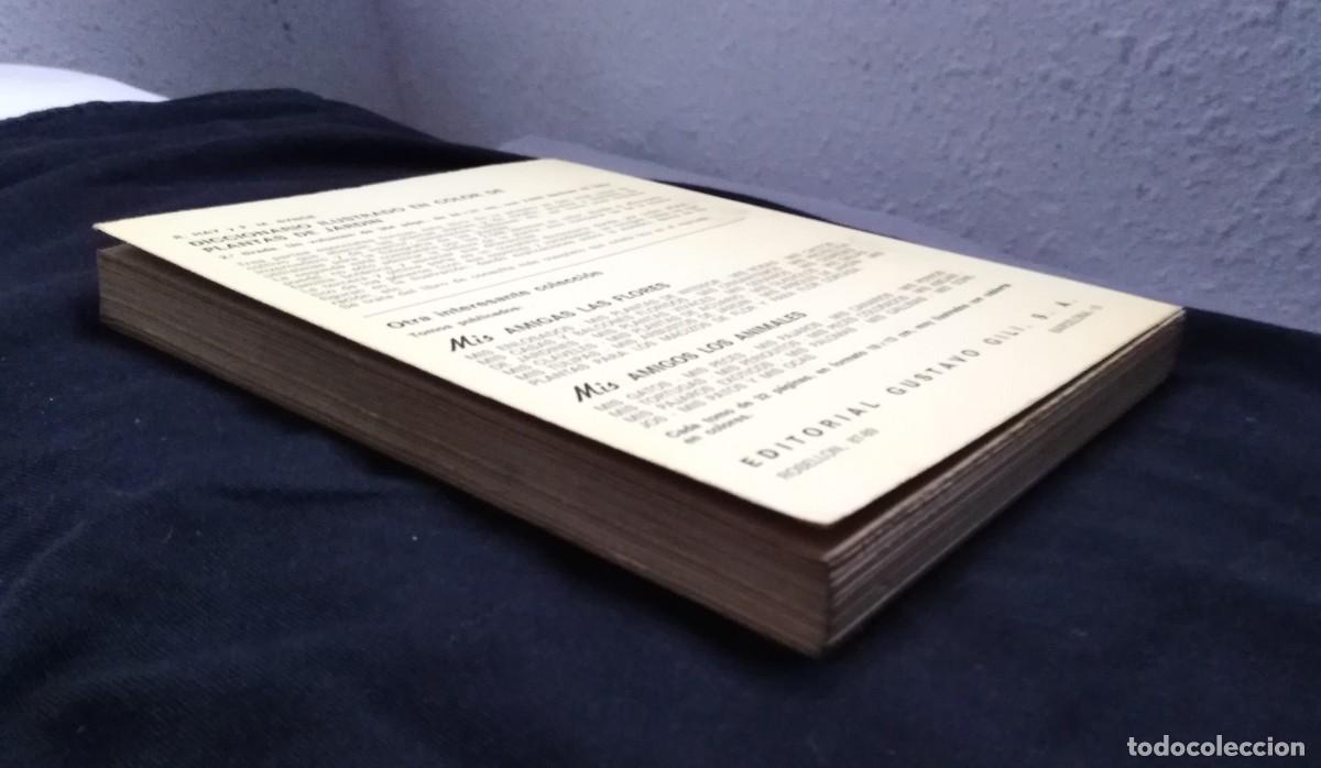 Libros de segunda mano: libro Proyectos de Jardines - Noel Claraso - 1973 - Foto 3