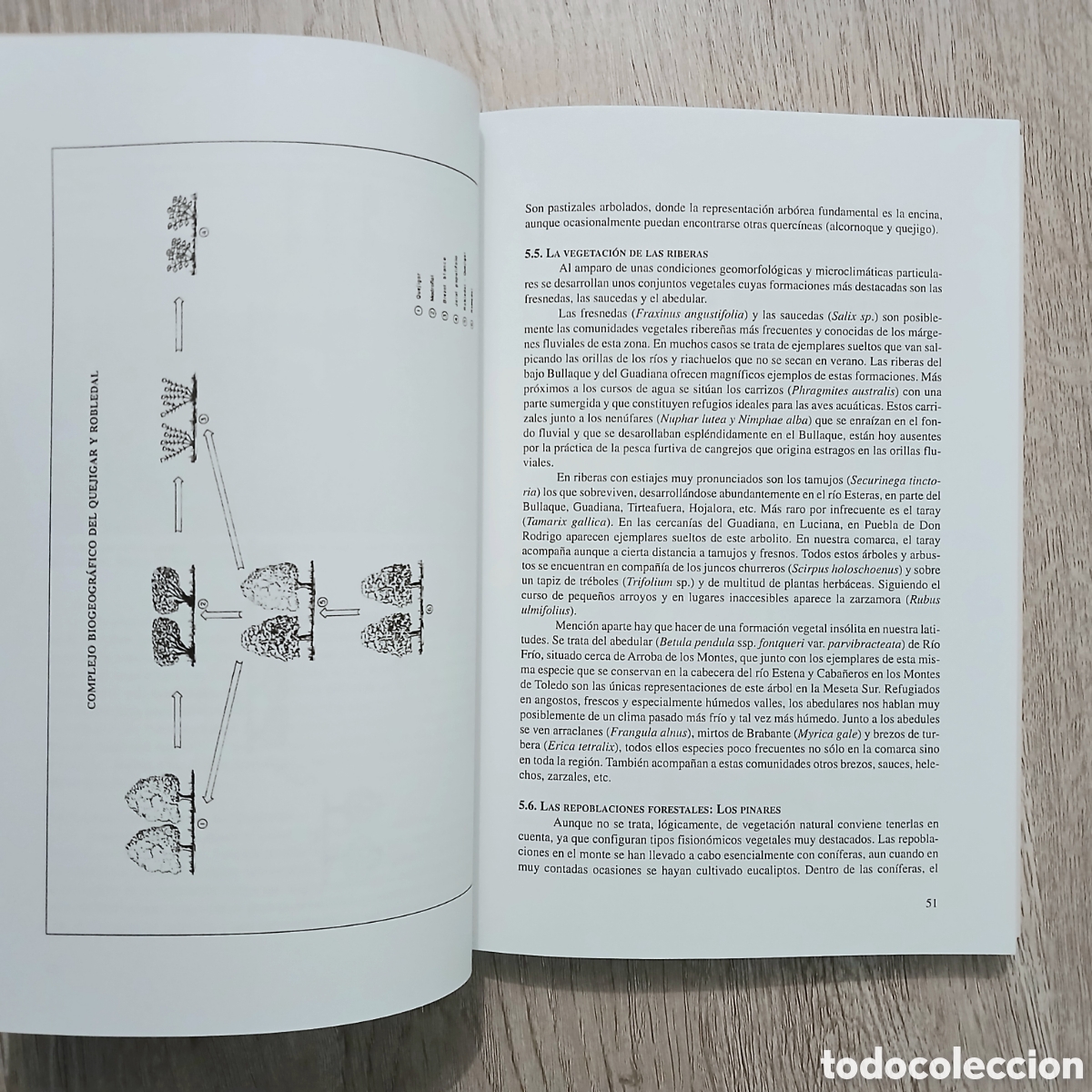 Libros de segunda mano: Elementos del medio natural en la provincia de Ciudad Real - Foto 8