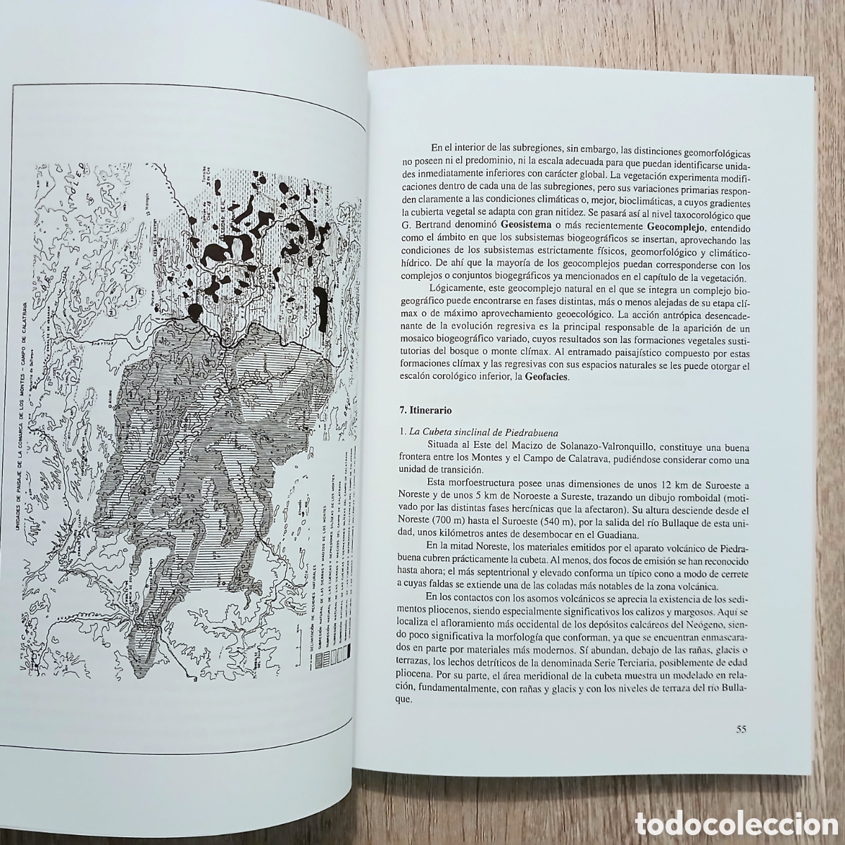 Libros de segunda mano: Elementos del medio natural en la provincia de Ciudad Real - Foto 9