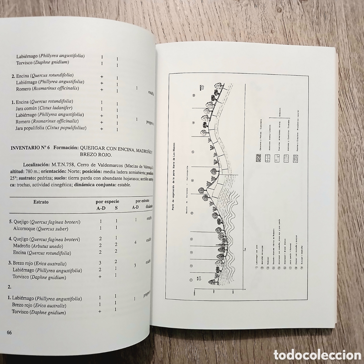 Libros de segunda mano: Elementos del medio natural en la provincia de Ciudad Real - Foto 12