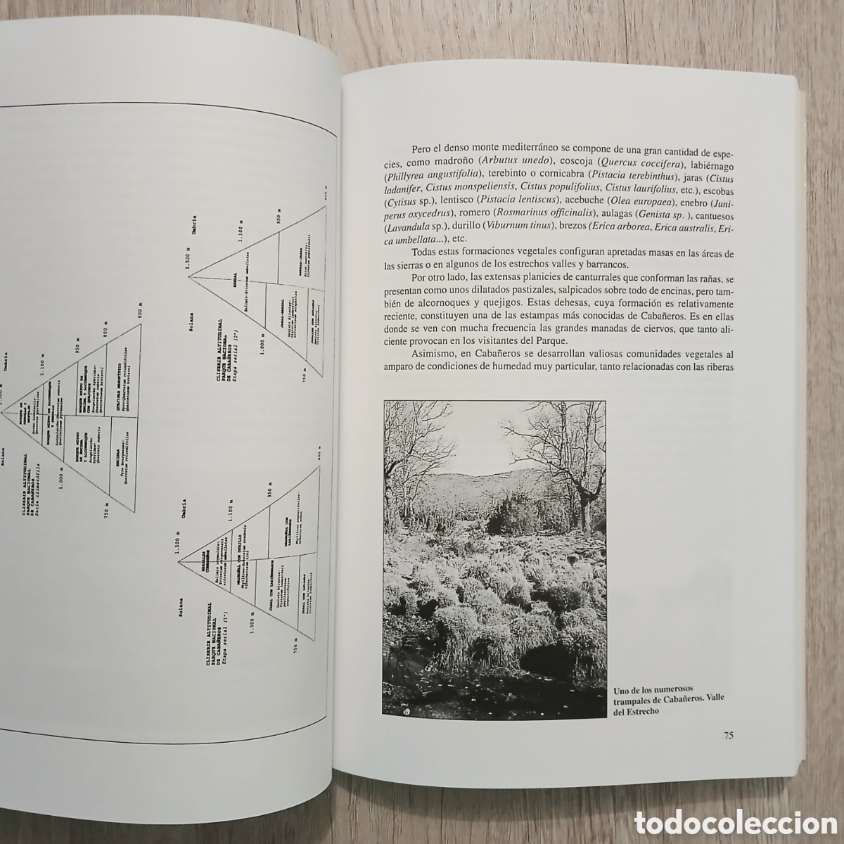 Libros de segunda mano: Elementos del medio natural en la provincia de Ciudad Real - Foto 13
