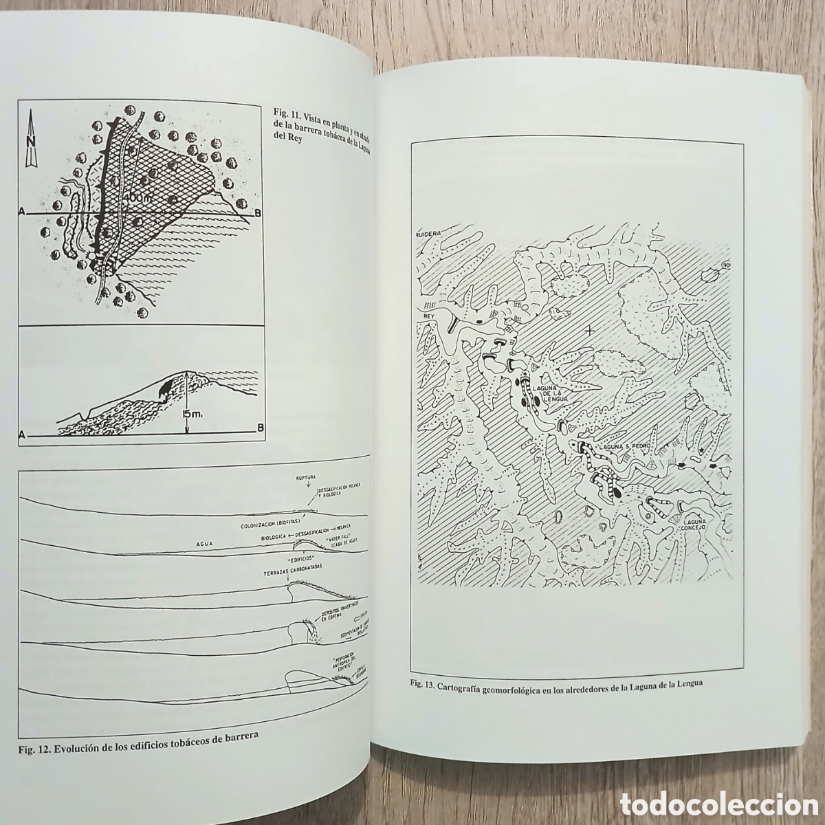 Libros de segunda mano: Elementos del medio natural en la provincia de Ciudad Real - Foto 16