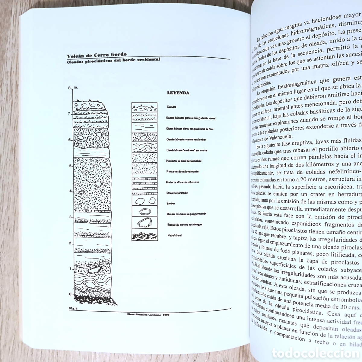 Libros de segunda mano: Elementos del medio natural en la provincia de Ciudad Real - Foto 19