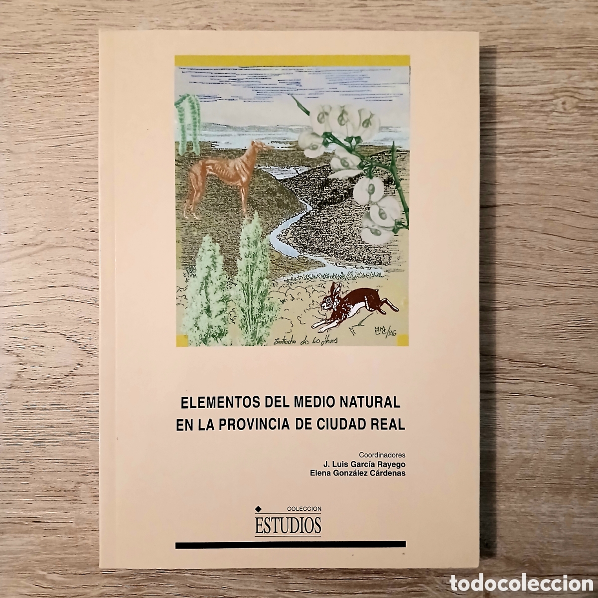 Libros de segunda mano: Elementos del medio natural en la provincia de Ciudad Real