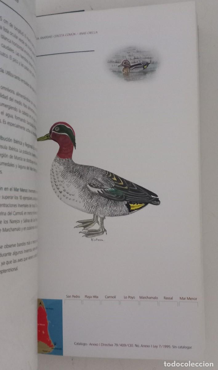 Libros de segunda mano: Gu&iacute;a de Aves Acu&aacute;ticas del Mar Menor, VV.AA. - Foto 3