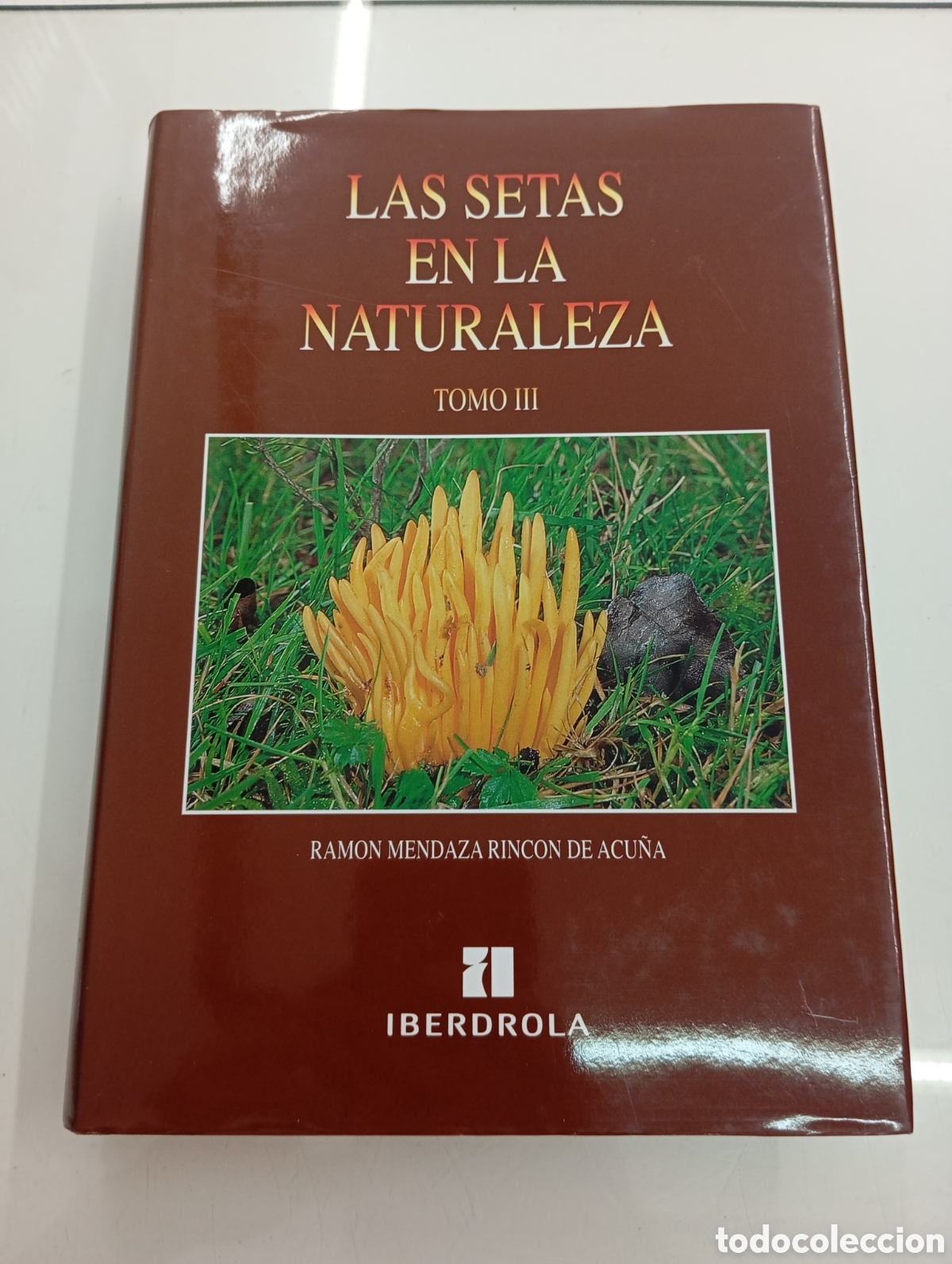 Libros de segunda mano: LAS SETAS EN LA NATURALEZA RAMON MENDAZA RINCON DE ACU&Ntilde;A IBERDROLA TOMO III BUEN ESTADO MICOLOGIA